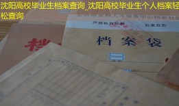 沈阳高校毕业生档案查询_沈阳高校毕业生个人档案轻松查询