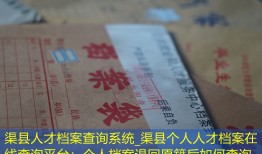 渠县人才档案查询系统_渠县个人人才档案在线查询平台：个人档案退回原籍后如何查询