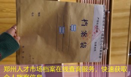 郑州人才市场档案在线查询服务，快速获取个人档案信息