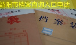 益阳市档案查询入口电话
