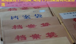 青海查询个人档案_青海个人档案查询完整指南
