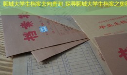 聊城大学生档案去向查询_探寻聊城大学生档案之奥秘