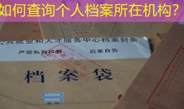 如何查询个人档案所在机构？