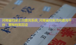 河南省档案去向查询系统_河南省档案流向查询平台：揭秘档案踪迹