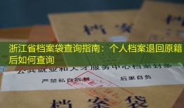 浙江省档案袋查询指南：个人档案退回原籍后如何查询