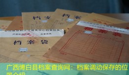 广西博白县档案查询网：档案调动保存的位置介绍