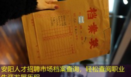 安阳人才招聘市场档案查询，轻松查阅职业生涯发展历程