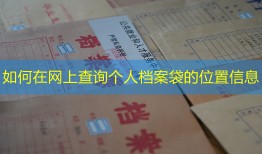 如何在网上查询个人档案袋的位置信息
