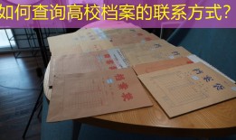 如何查询高校档案的联系方式？