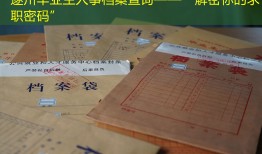 遂川毕业生人事档案查询——“解密你的求职密码”