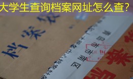 大学生查询档案网址怎么查？