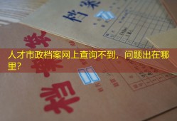 人才市政档案网上查询不到，问题出在哪里？