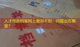 人才市政档案网上查询不到，问题出在哪里？