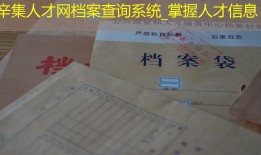辛集人才网档案查询系统_掌握人才信息