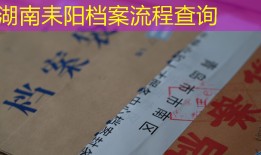 湖南耒阳档案流程查询