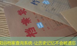 阳谷档案查询系统-让历史记忆不会被遗忘
