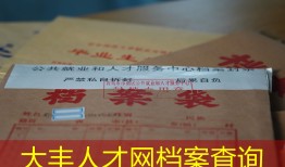 大丰人才网档案查询