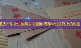 重庆市毕业生档案去向查询 揭秘毕业生路上的秘密