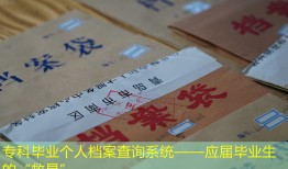 专科毕业个人档案查询系统——应届毕业生的“救星”