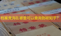 档案查询在哪里可以查询到呢知乎？