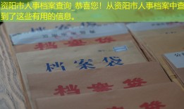 资阳市人事档案查询_恭喜您！从资阳市人事档案中查到了这些有用的信息。