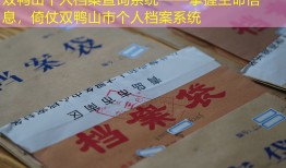 双鸭山个人档案查询系统——掌握生命信息，倚仗双鸭山市个人档案系统
