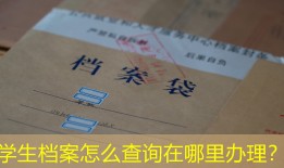 学生档案怎么查询在哪里办理？