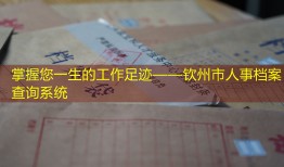 掌握您一生的工作足迹——钦州市人事档案查询系统