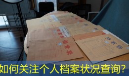 如何关注个人档案状况查询？