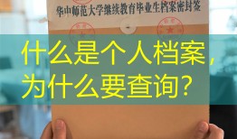 什么是个人档案，为什么要查询？