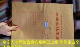 阜宁人才网档案查询系统已上线 简化企业个人查询体验