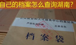 自己的档案怎么查询湖南？