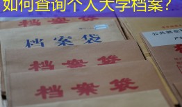 如何查询个人大学档案？