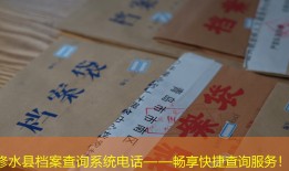 修水县档案查询系统电话——畅享快捷查询服务！