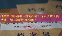档案里的待遇怎么查询不到？深入了解工资待遇，却不知道如何查阅？