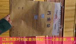 辽阳市农村档案查询网站——记录历史，寻找足迹