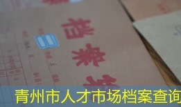 青州市人才市场档案查询