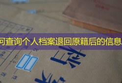 如何查询个人档案退回原籍后的信息？