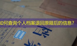 如何查询个人档案退回原籍后的信息？