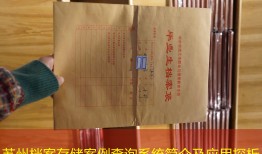 苏州档案存储案例查询系统简介及应用探析