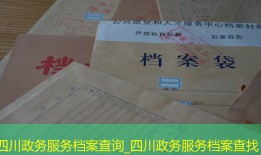 四川政务服务档案查询_四川政务服务档案查找