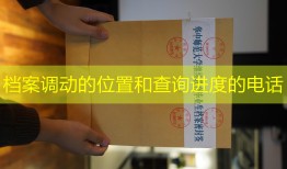 档案调动的位置和查询进度的电话