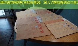 潍坊医学院研究生档案查询：深入了解档案调动与查询