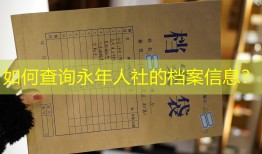 如何查询永年人社的档案信息？