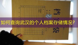 如何查询武汉的个人档案存储情况？