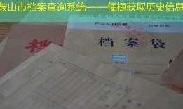 鞍山市档案查询系统——便捷获取历史信息
