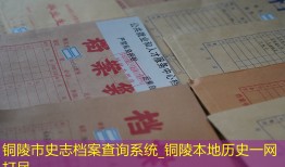 铜陵市史志档案查询系统_铜陵本地历史一网打尽