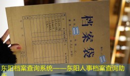 东阳档案查询系统——东阳人事档案查询助手