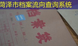 菏泽市档案流向查询系统