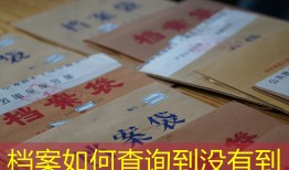 档案如何查询到没有到